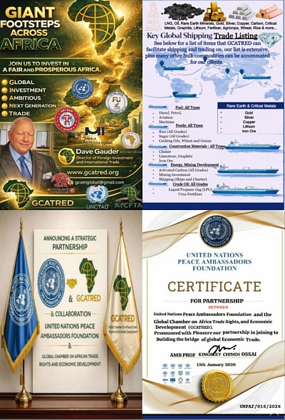 Dave Gauder Director of Foreign Investment and International Trade for GCATRED (Africa)